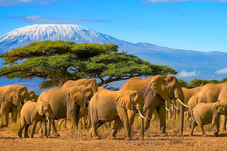 "Serengeti Public Park, Tanzania"