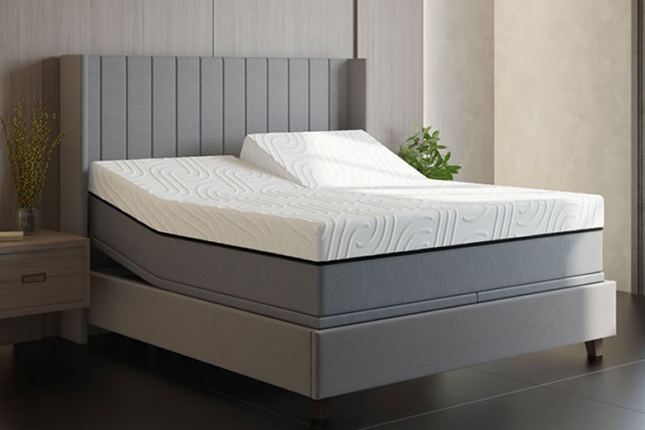 "Customized Solace Savvy Bed"