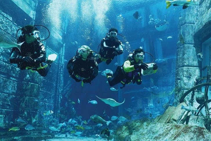 "Scuba Plunging at Dubai Aquarium"