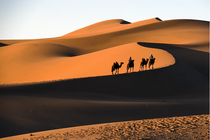 "The Gobi Desert"