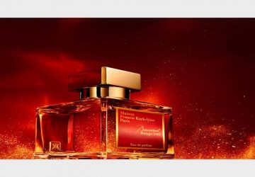 A definitive Manual for Well known Fragrances
