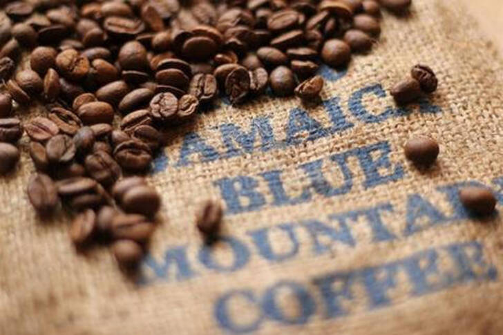"Blue Mountain Espresso: The Lord of Espressos"