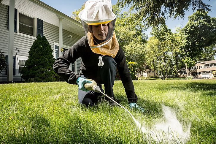 "Eco-Accommodating Nuisance Arrangements"
