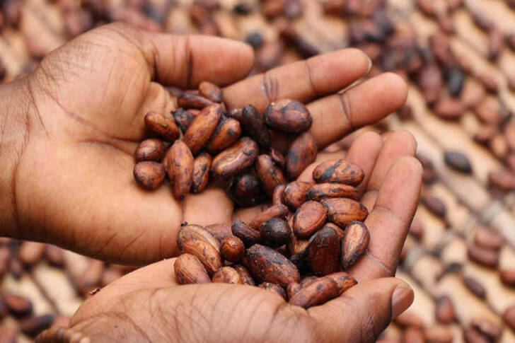 "Ethiopian Yirgacheffe: Flower and Fruity Notes"
