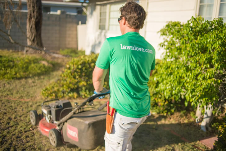 "Yard Love: Present day Grass Care"