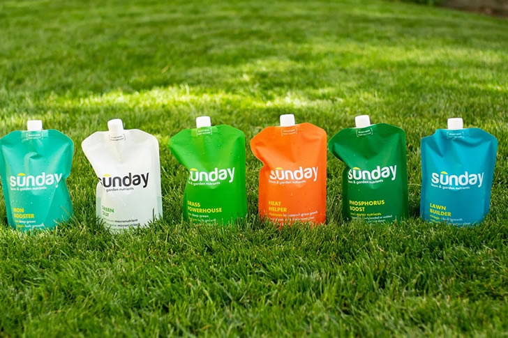 "Sunday: Brilliant Grass Care"