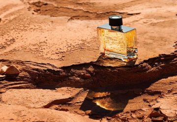 Find Exemplary Scents: An Extensive Aide