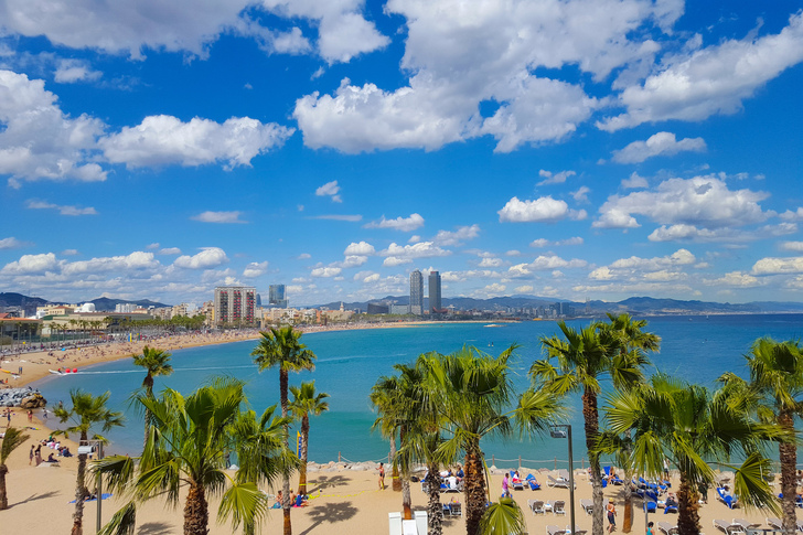 "The Dynamic Barcelona, Spain"